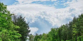 Ministrul Finanțelor anunță rezolvarea conflictului cu transportatorii. Augustin Hagiu, FORT: „Este o fentă. Noi intrăm în piață”.