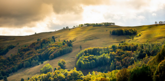 INVESTIȚI ÎN ROMÂNIA – Partea I: date generale