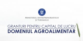 Aplicanții IMM AGRI-FOOD care au fost au fost declarați neeligibili vor primi, începând de astăzi, notificările de respingere