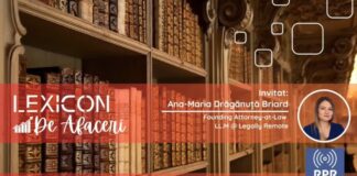 Lexicon de afaceri: protecția business-urilor online, tech și digitale